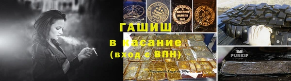индика Алзамай