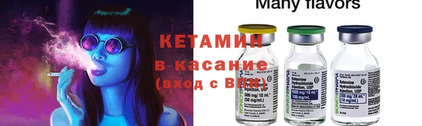 индика Алзамай