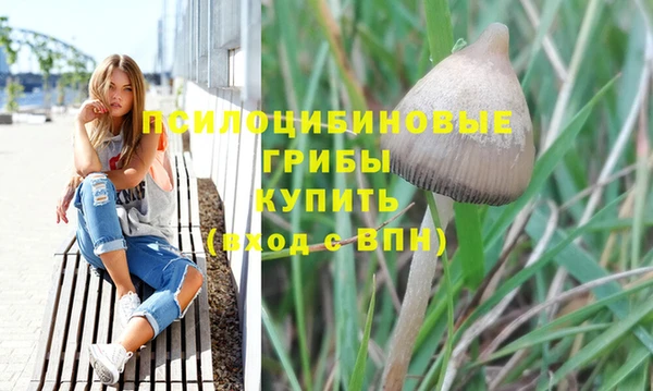 наркотики Алексин