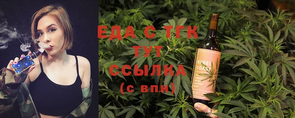 индика Алзамай