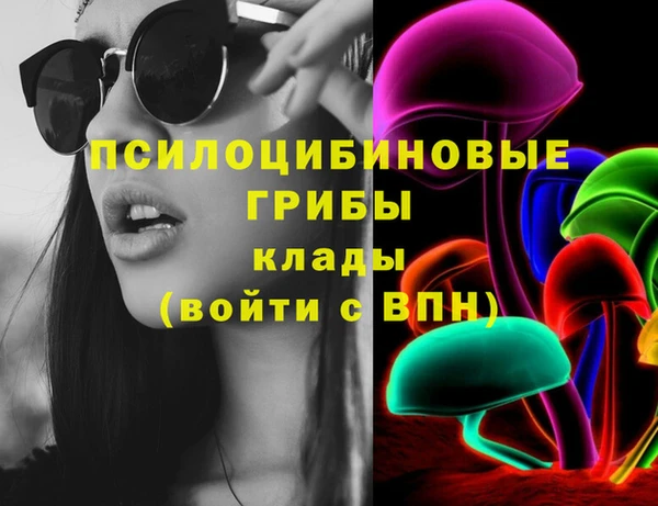 индика Алзамай