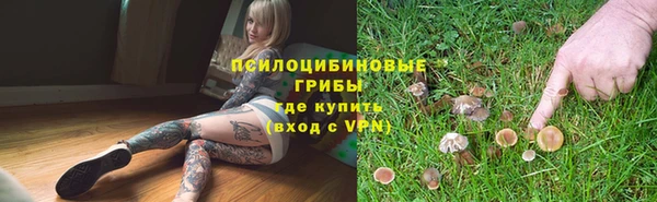 наркотики Алексин