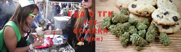 индика Алзамай