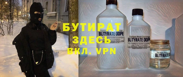 индика Алзамай